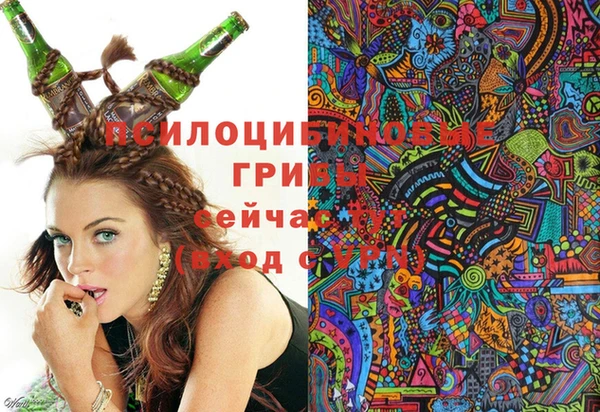 дживик Гусь-Хрустальный