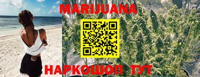 каннабис Бердск