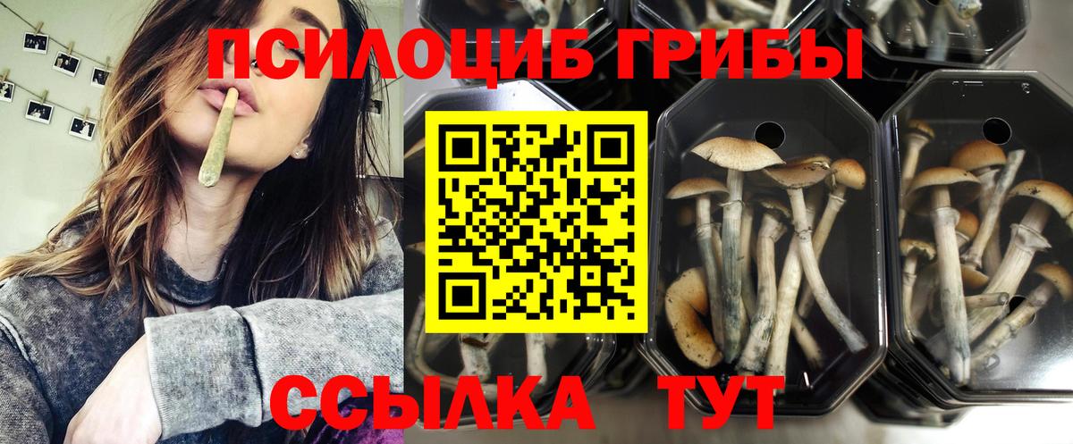 Псилоцибиновые грибы MAGIC MUSHROOMS Череповец